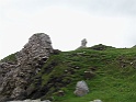 Kinbane Castle (18)