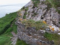 Kinbane Castle (28)